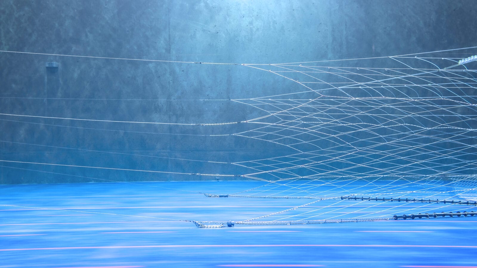 Vónin semipelagic 1