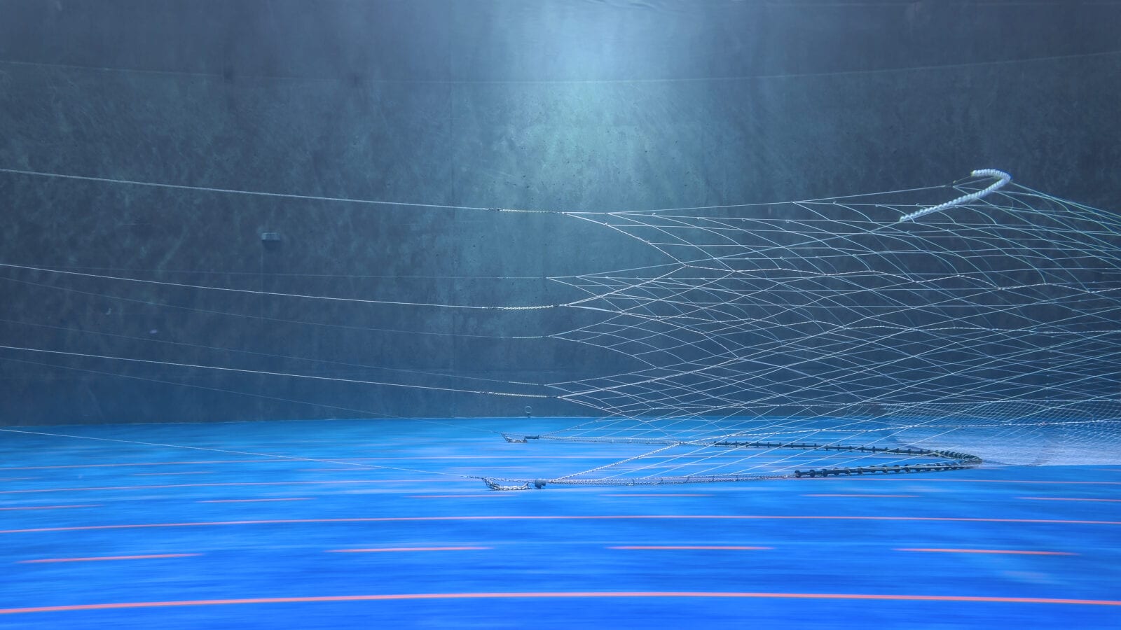 Vónin semipelagic 2