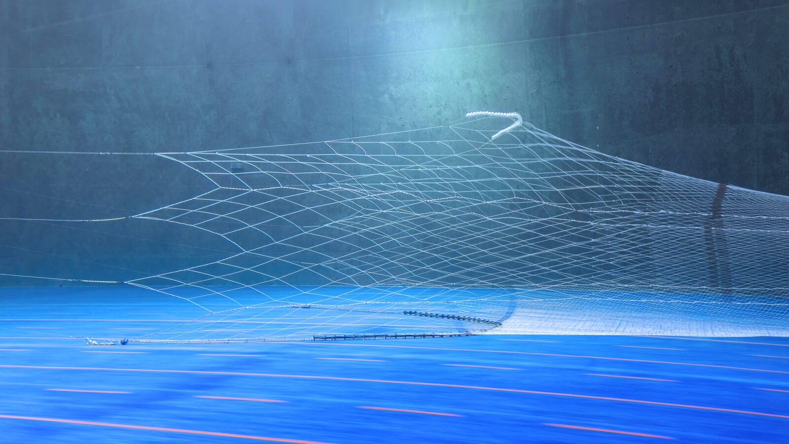 Vónin semipelagic 3