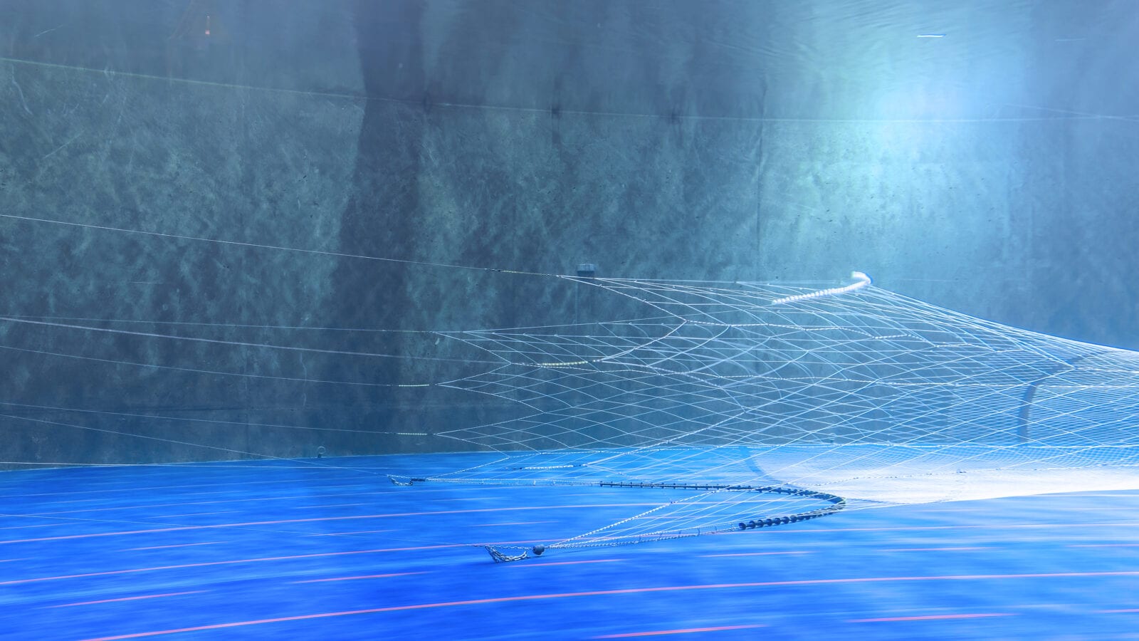 Vónin semipelagic 5