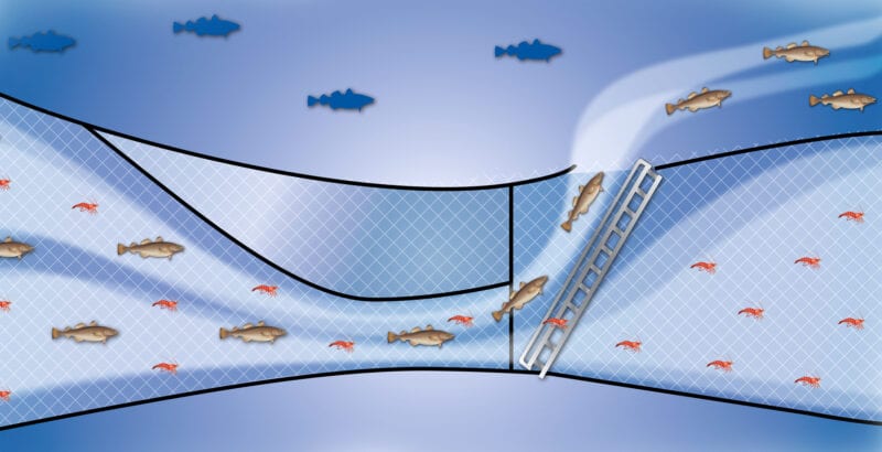 Fish In Grid Vónin shrimp grid - Sorting grid - Increase your catch