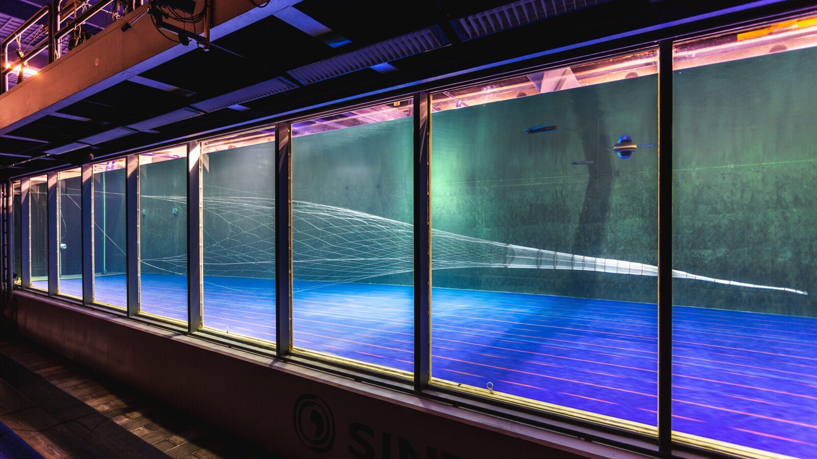 Vónin_pelagic_2600_1