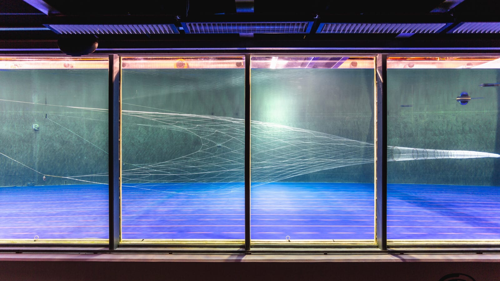 Vónin_pelagic_2600_2