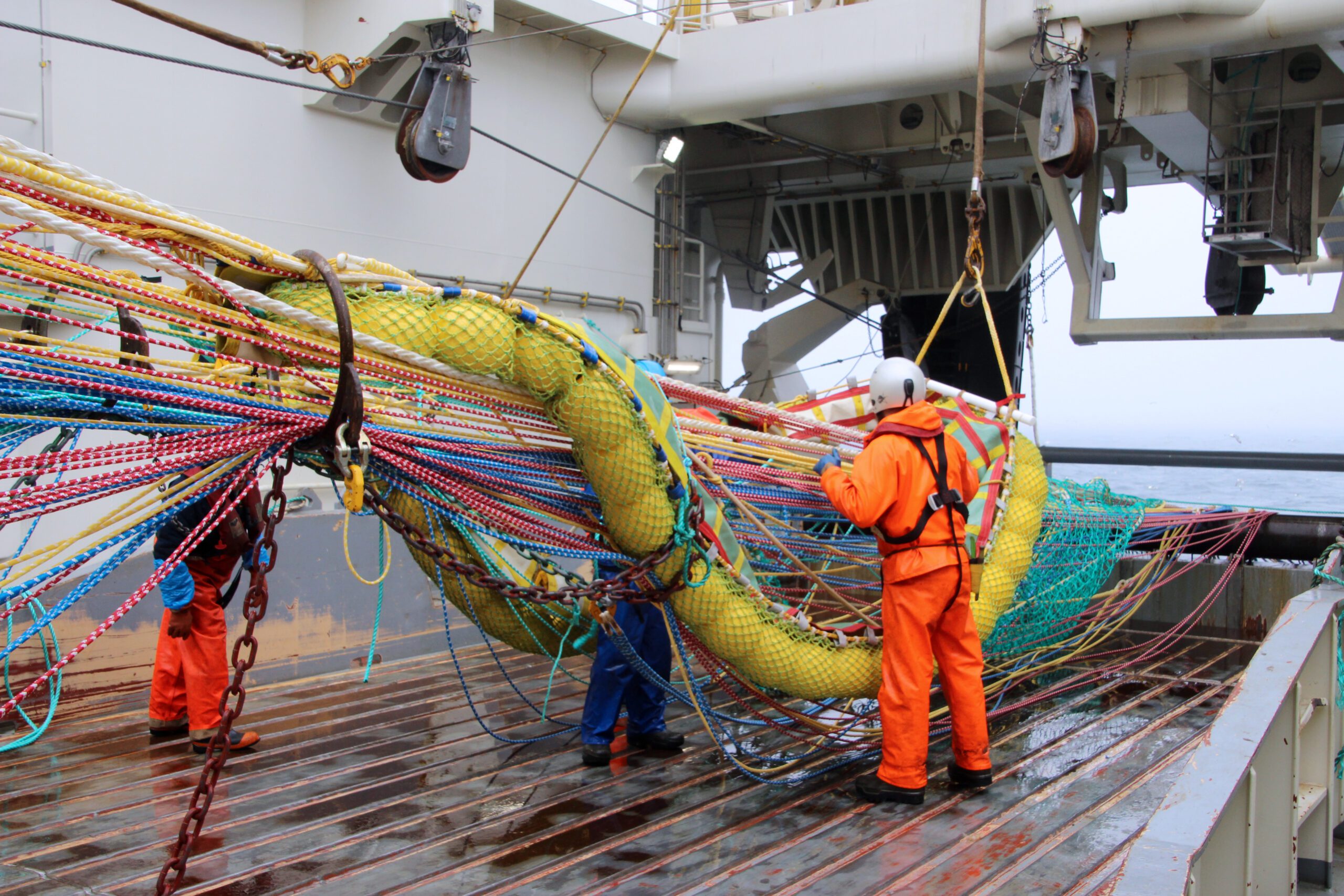 A pelagic trawl net being prepared for use