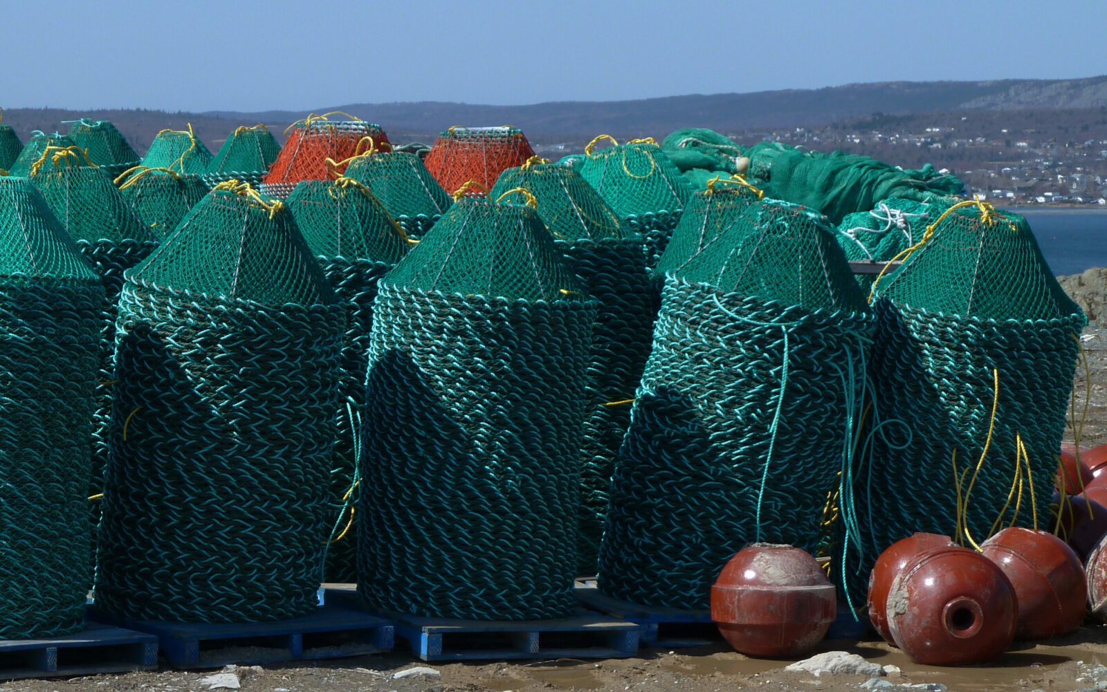 Crab pots & whelk pots Vónin