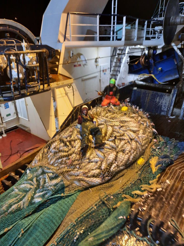 Vónin Zenith bottom trawl 